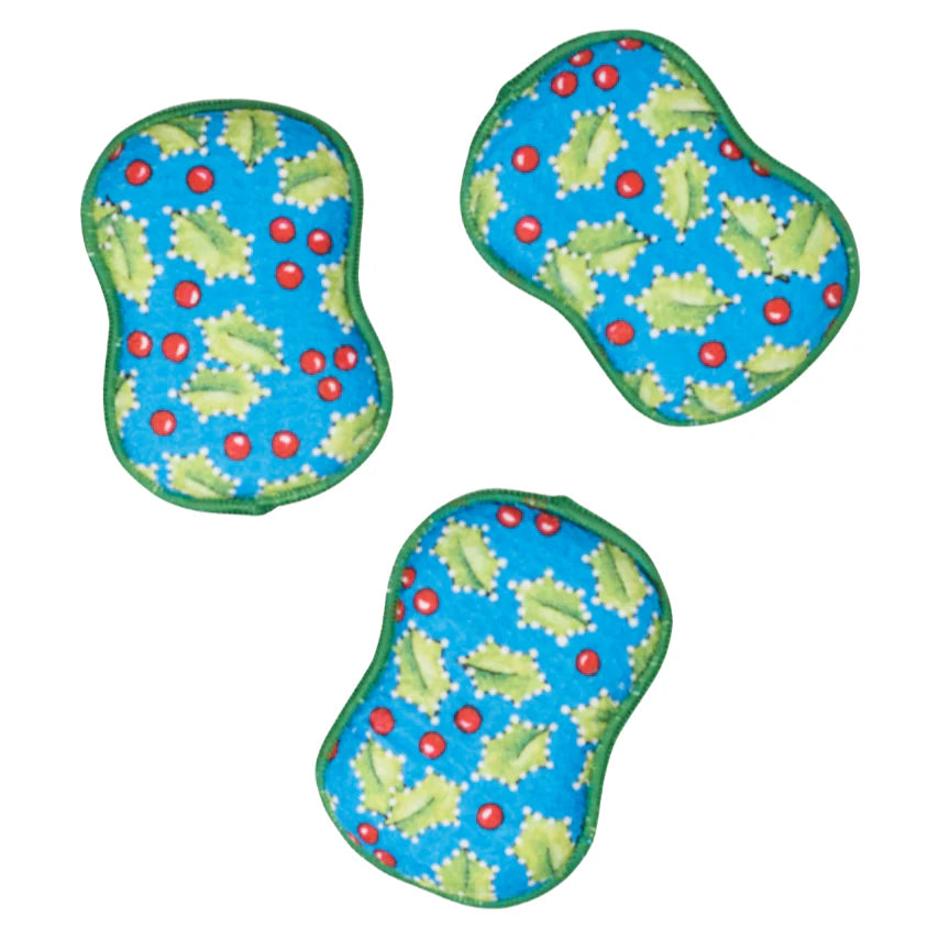 Holly Reusable Sponges