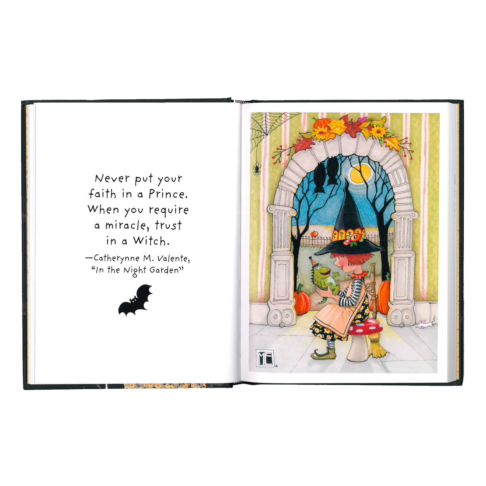 Little Book of Witches Book