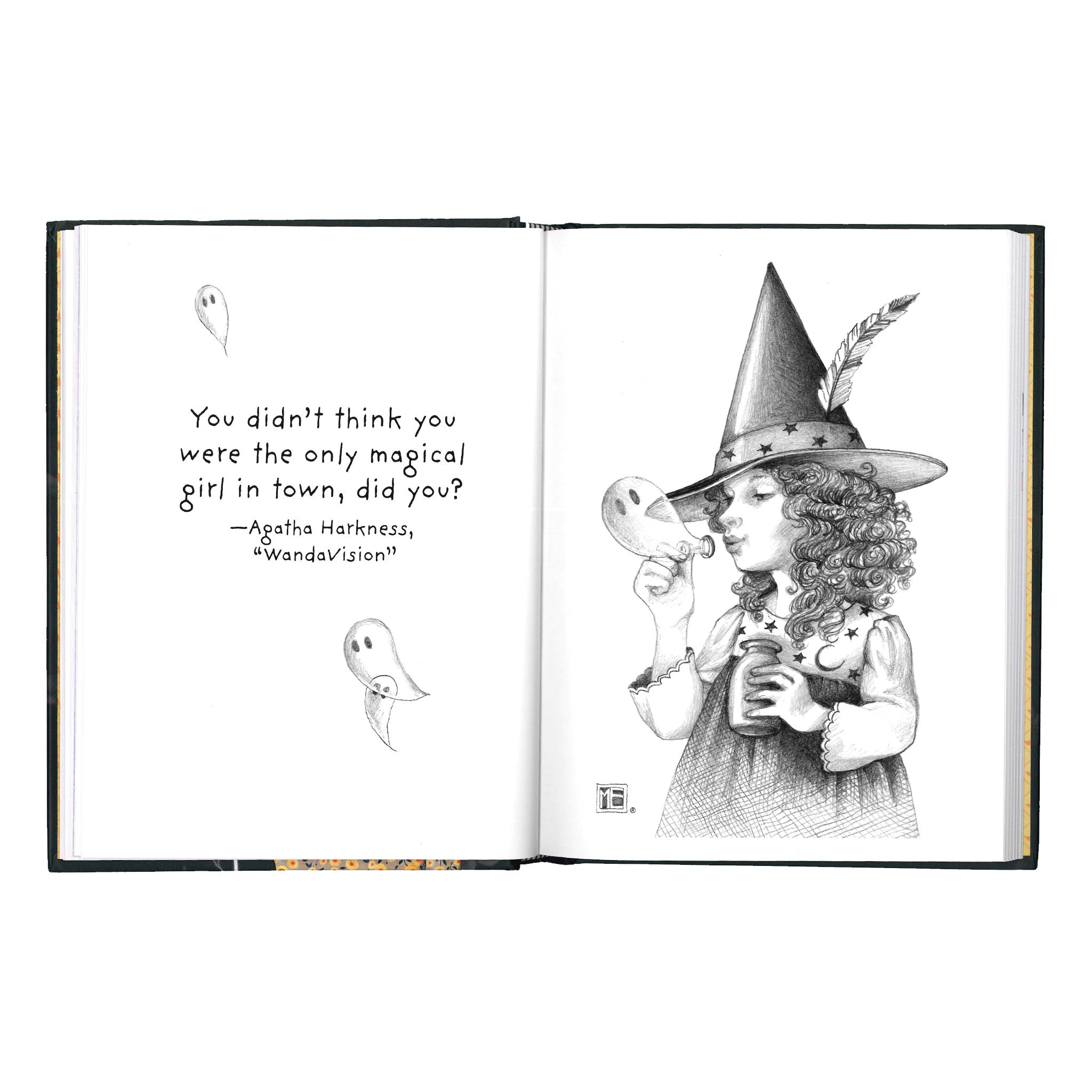 Little Book of Witches Book
