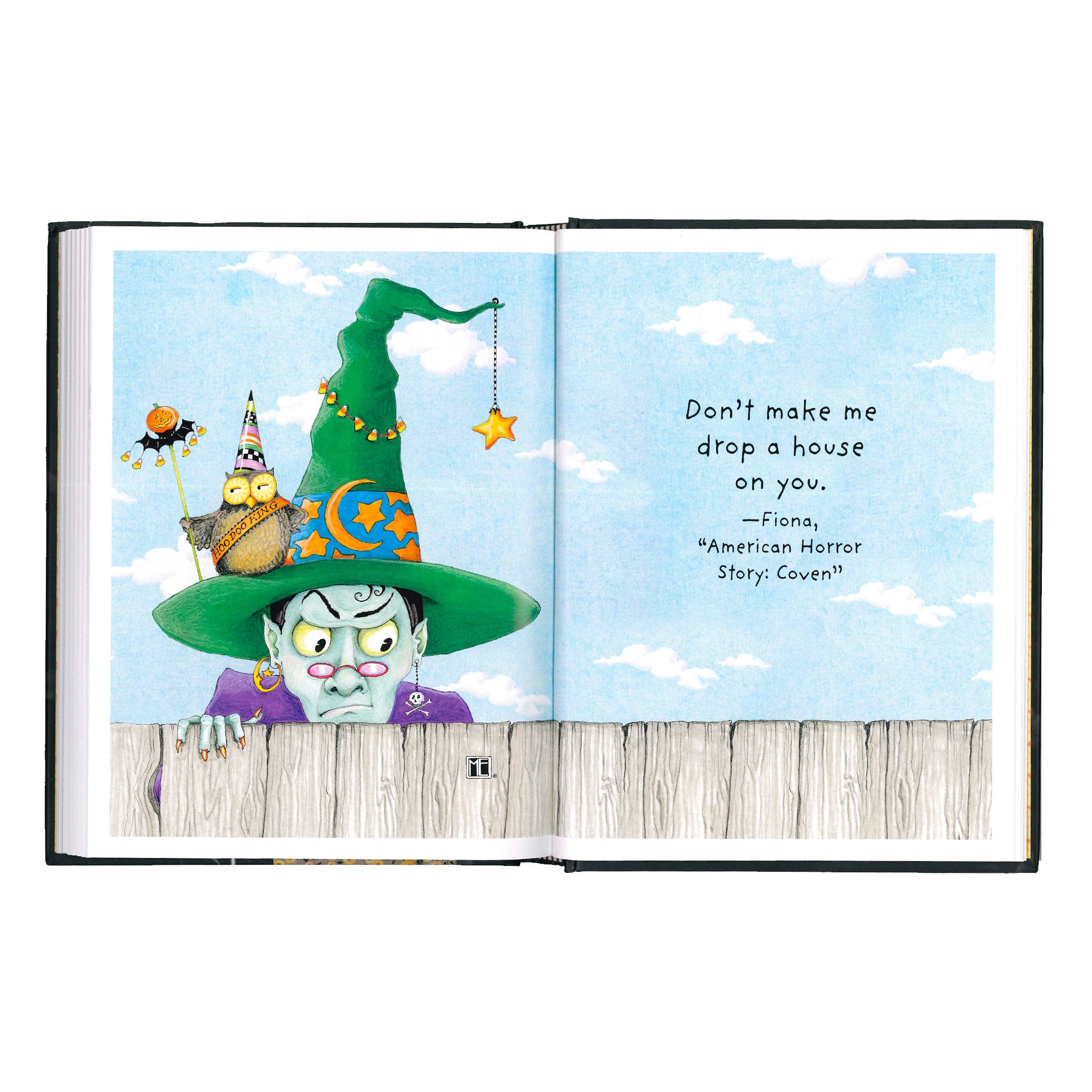 Little Book of Witches Book