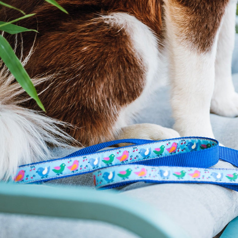 Songbirds Dog Leash