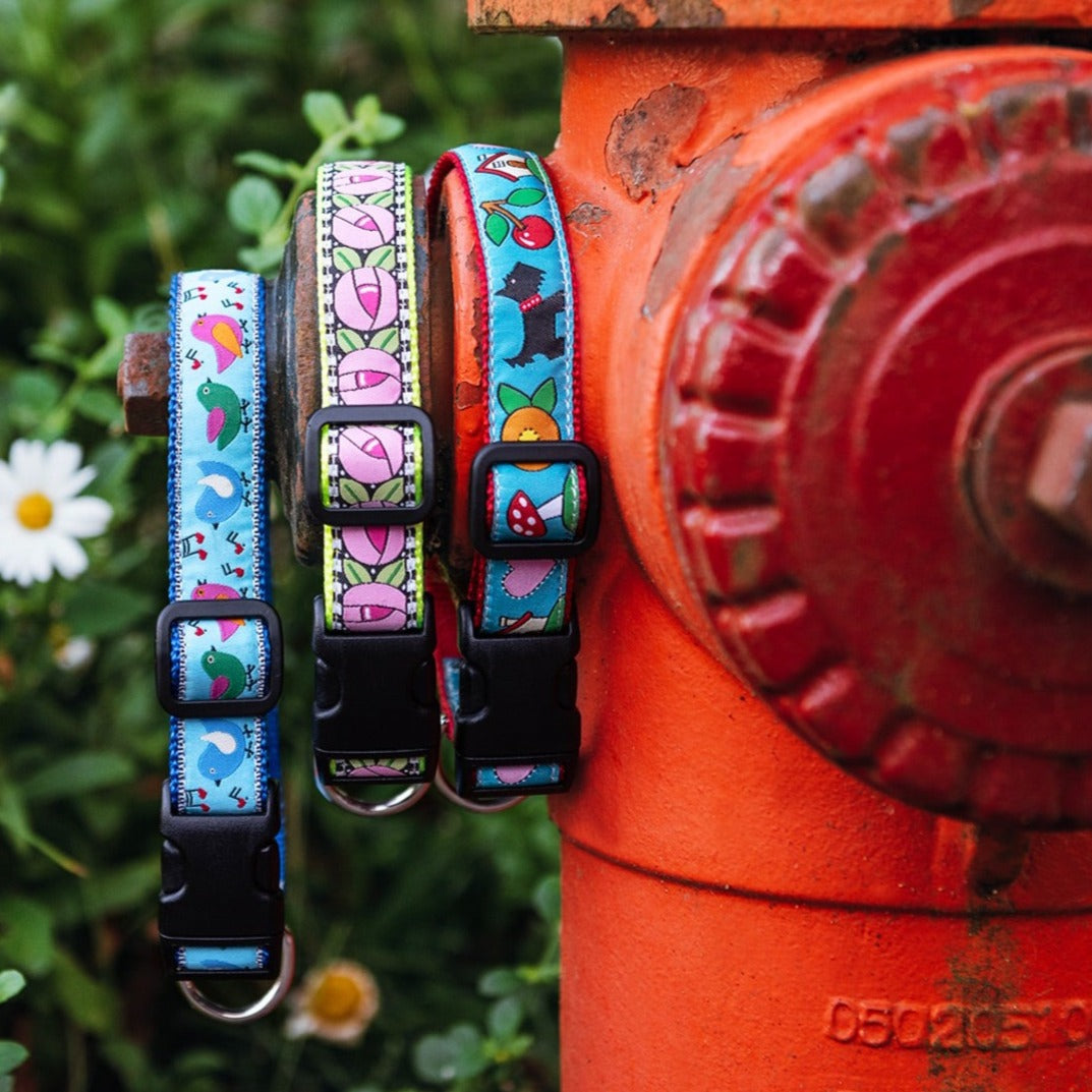 Songbirds Dog Collar