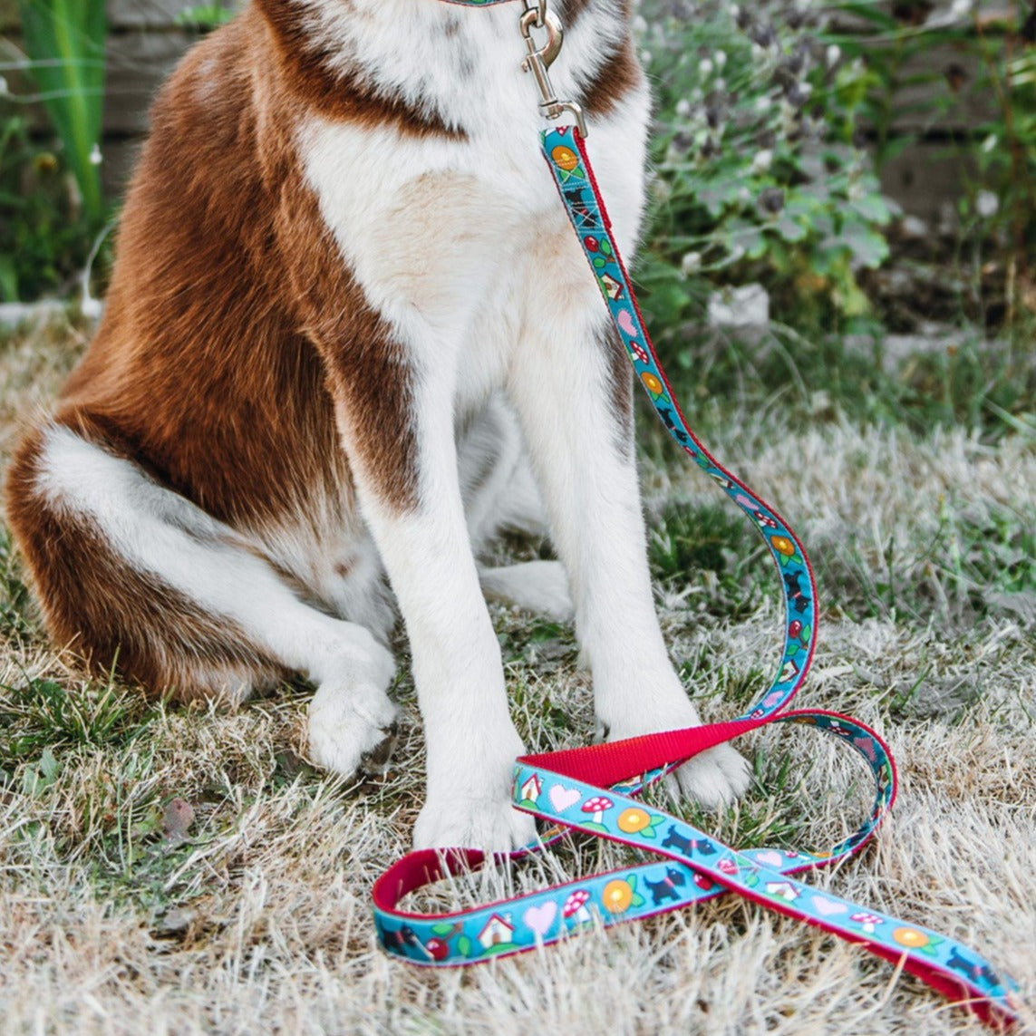 Mary's Icons Dog Leash