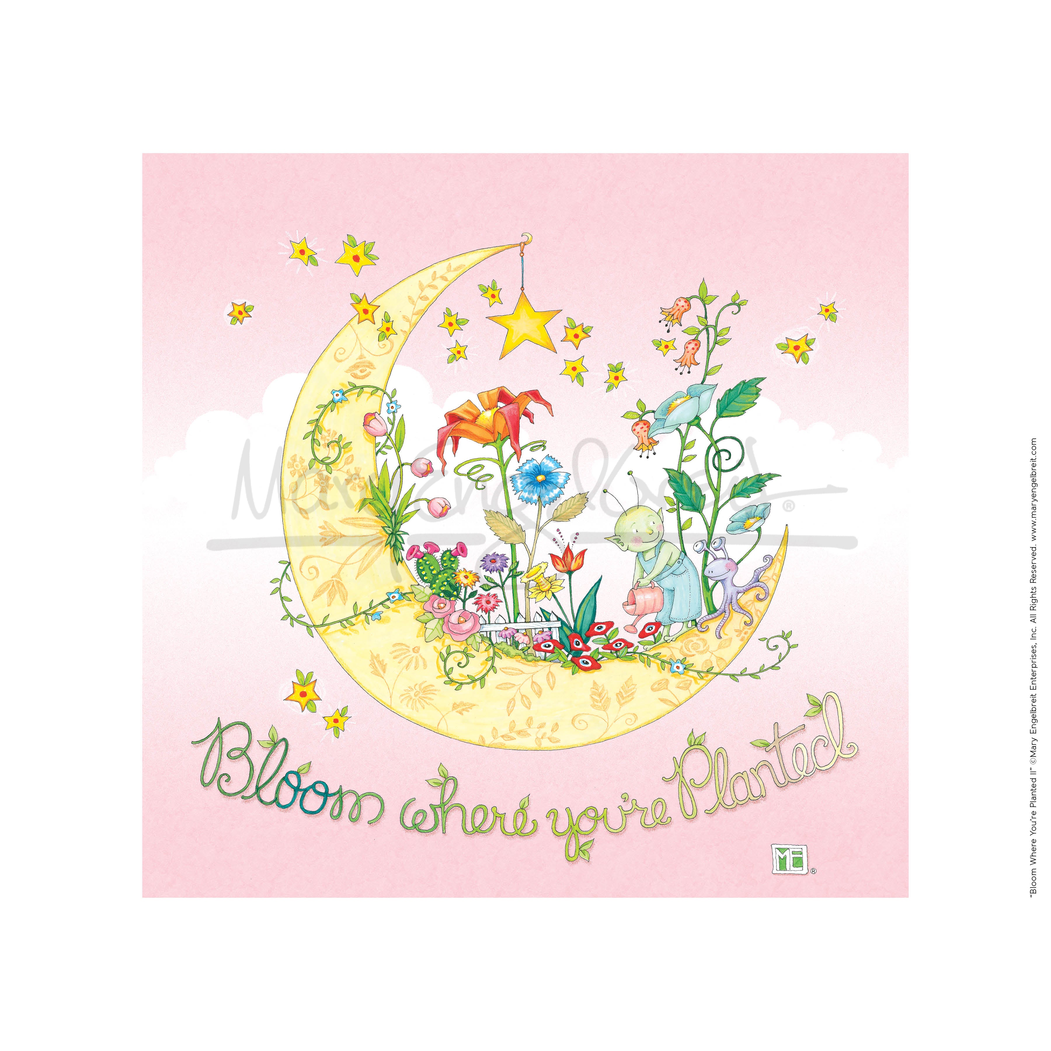 Star Home Décor Bloom Where You Are Planted By Acute Angle 12x12