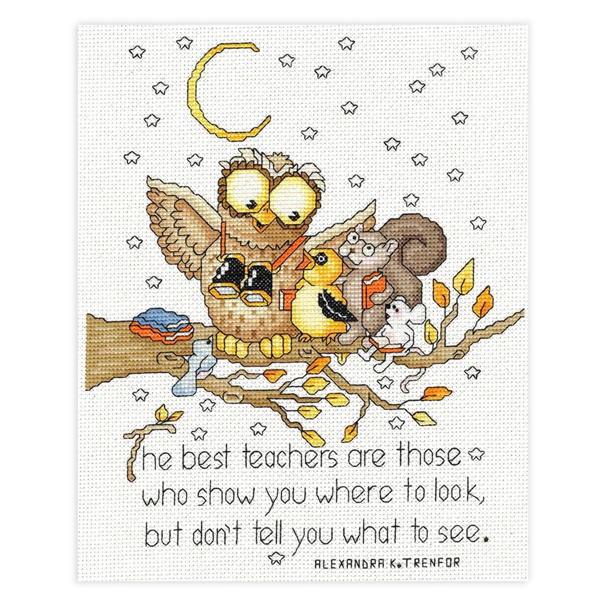 Best Teachers Counted Cross Stitch Kit