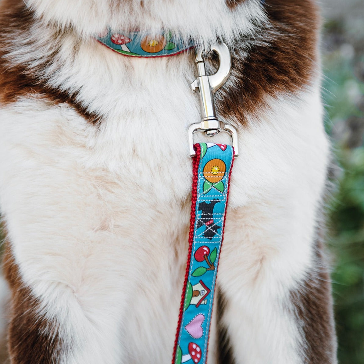 Mary's Icons Dog Collar