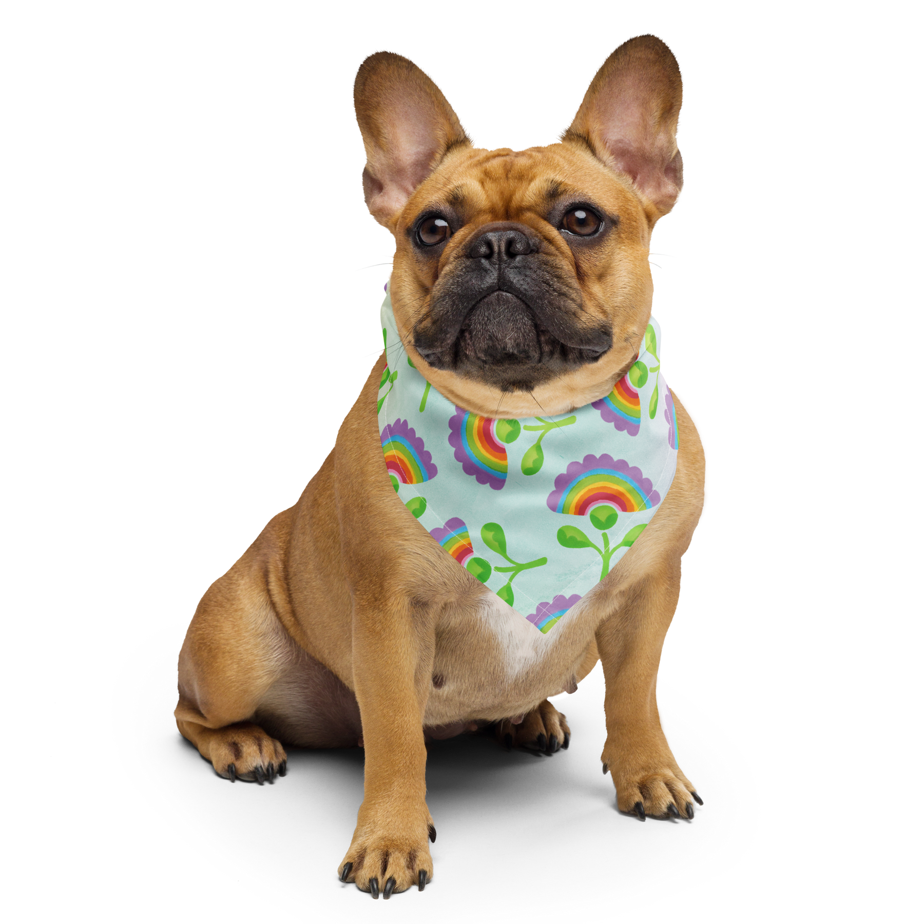 Rainbows in Bloom Pet Bandana