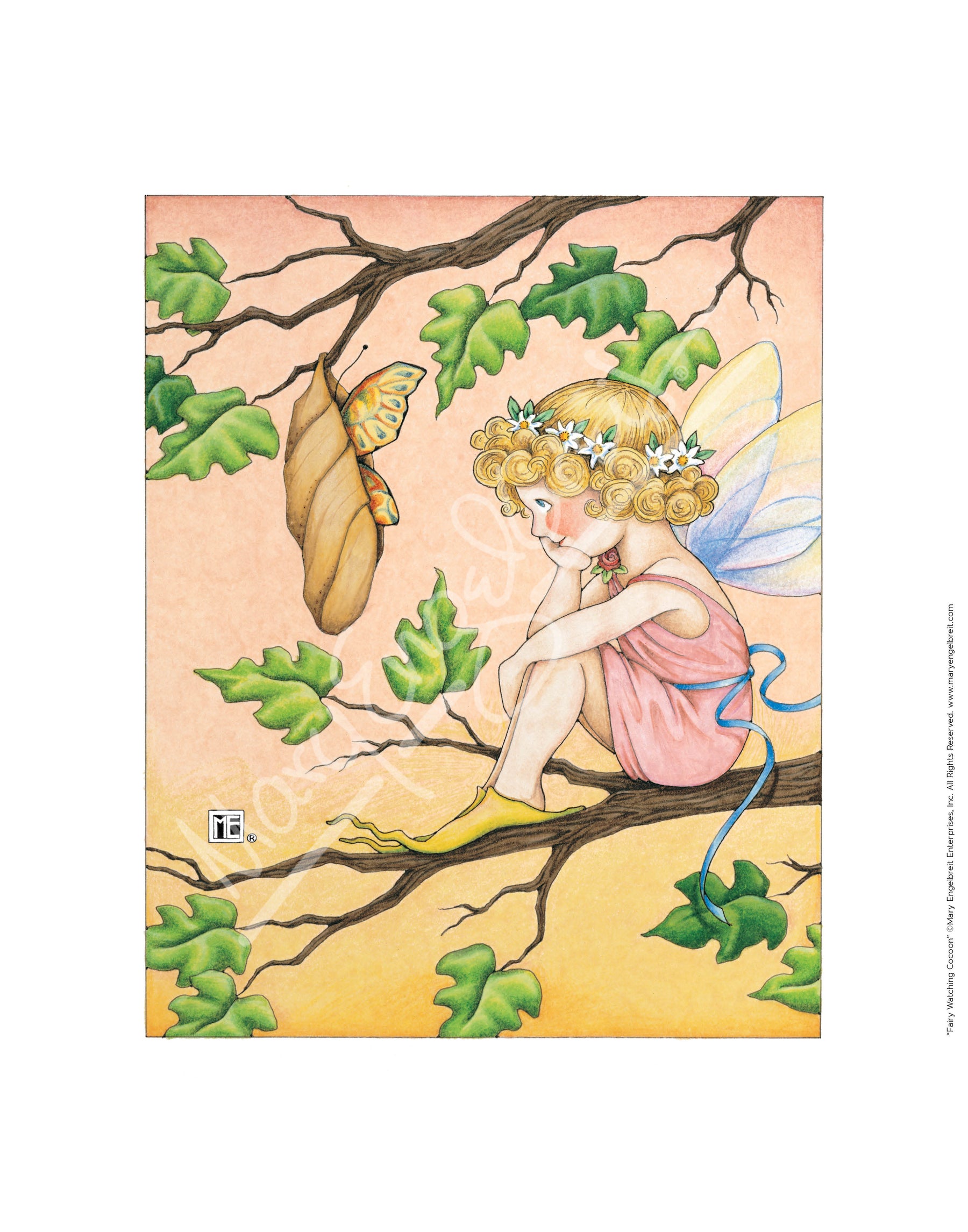 Fairy Watching Cocoon Fine Art Print