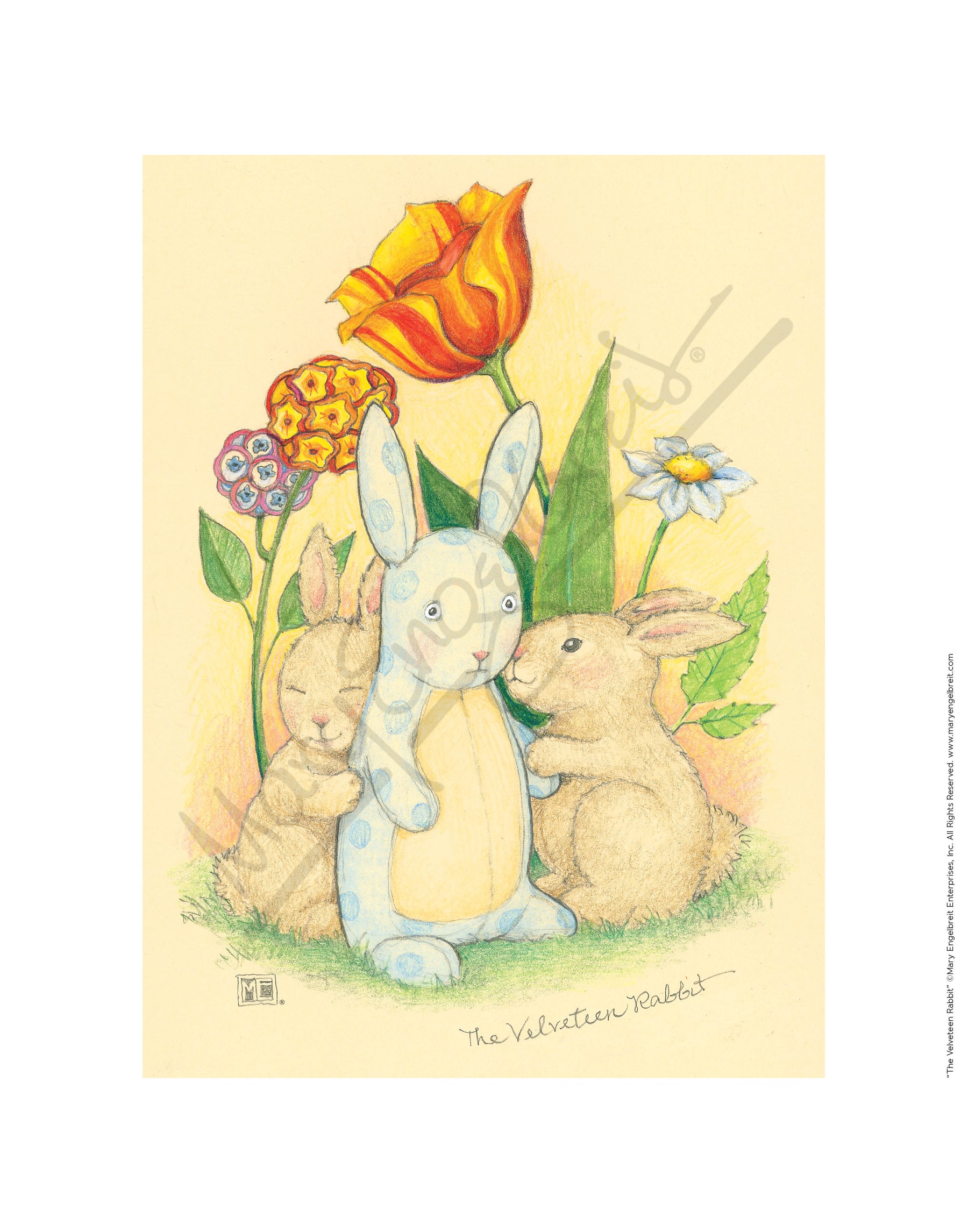 The Velveteen Rabbit Fine Art Print