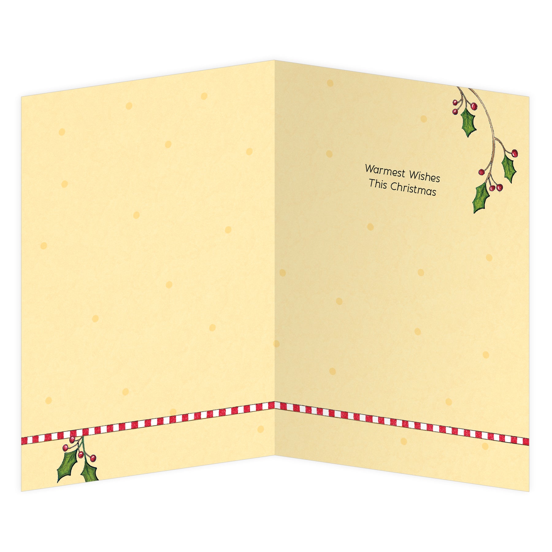 Santa and Elf Christmas Boxed Cards